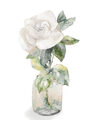 Image Not Available